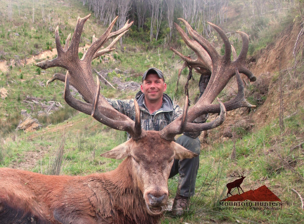 Red Stag Hunting New Zealand 